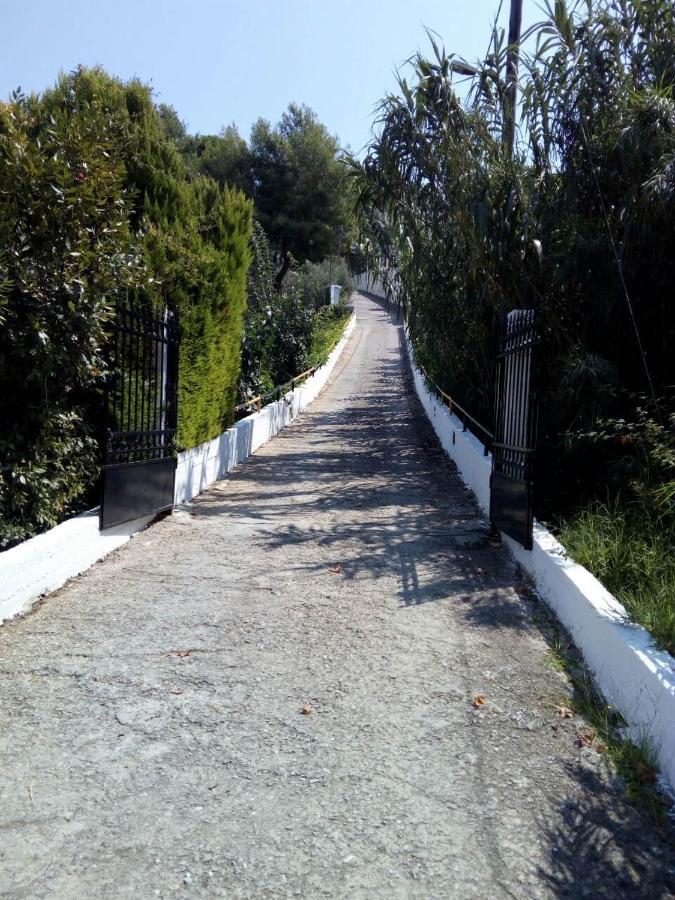 Villa Xanthippi Agia Paraskevi  Extérieur photo