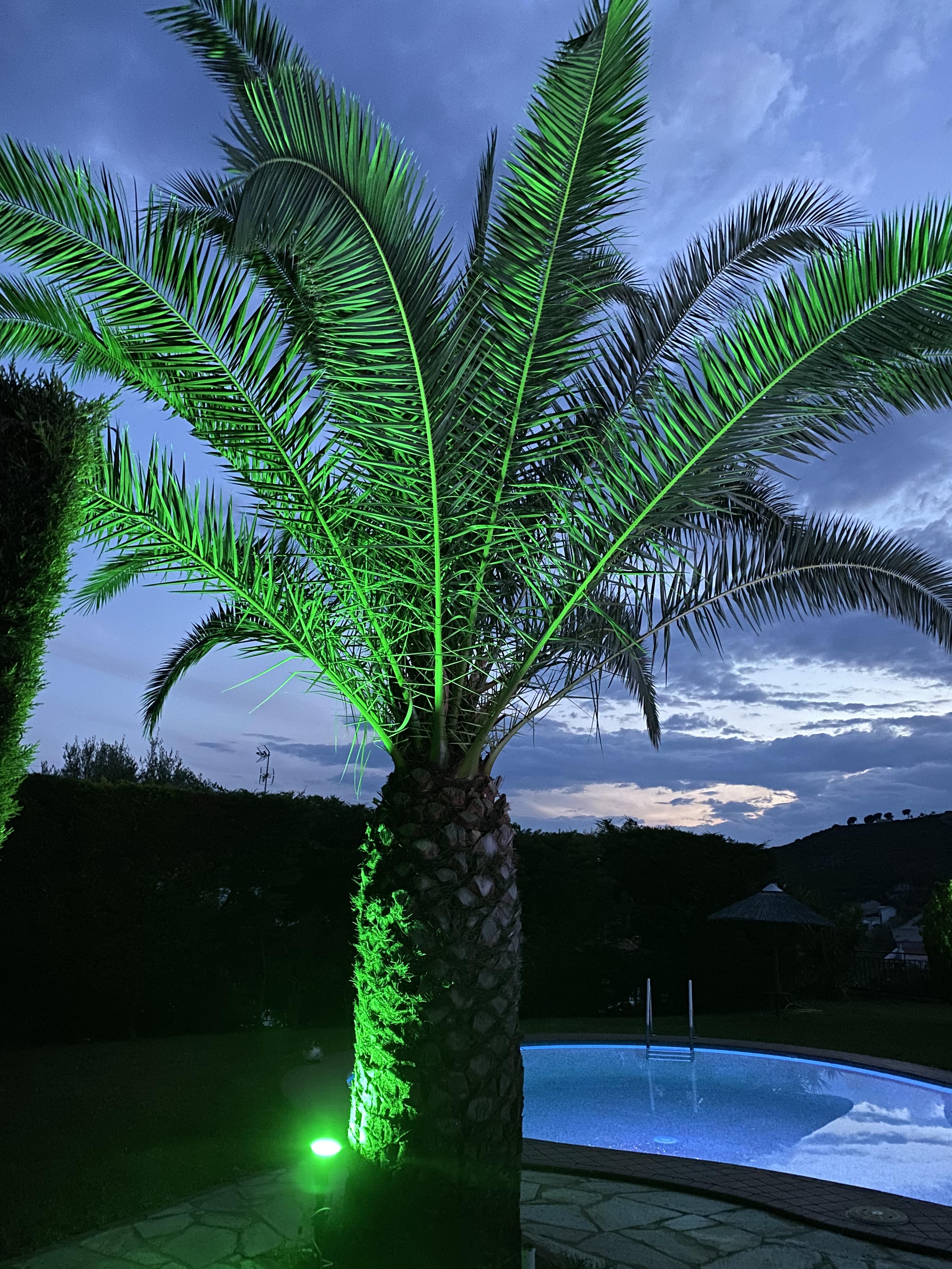 Villa Xanthippi Agia Paraskevi  Extérieur photo