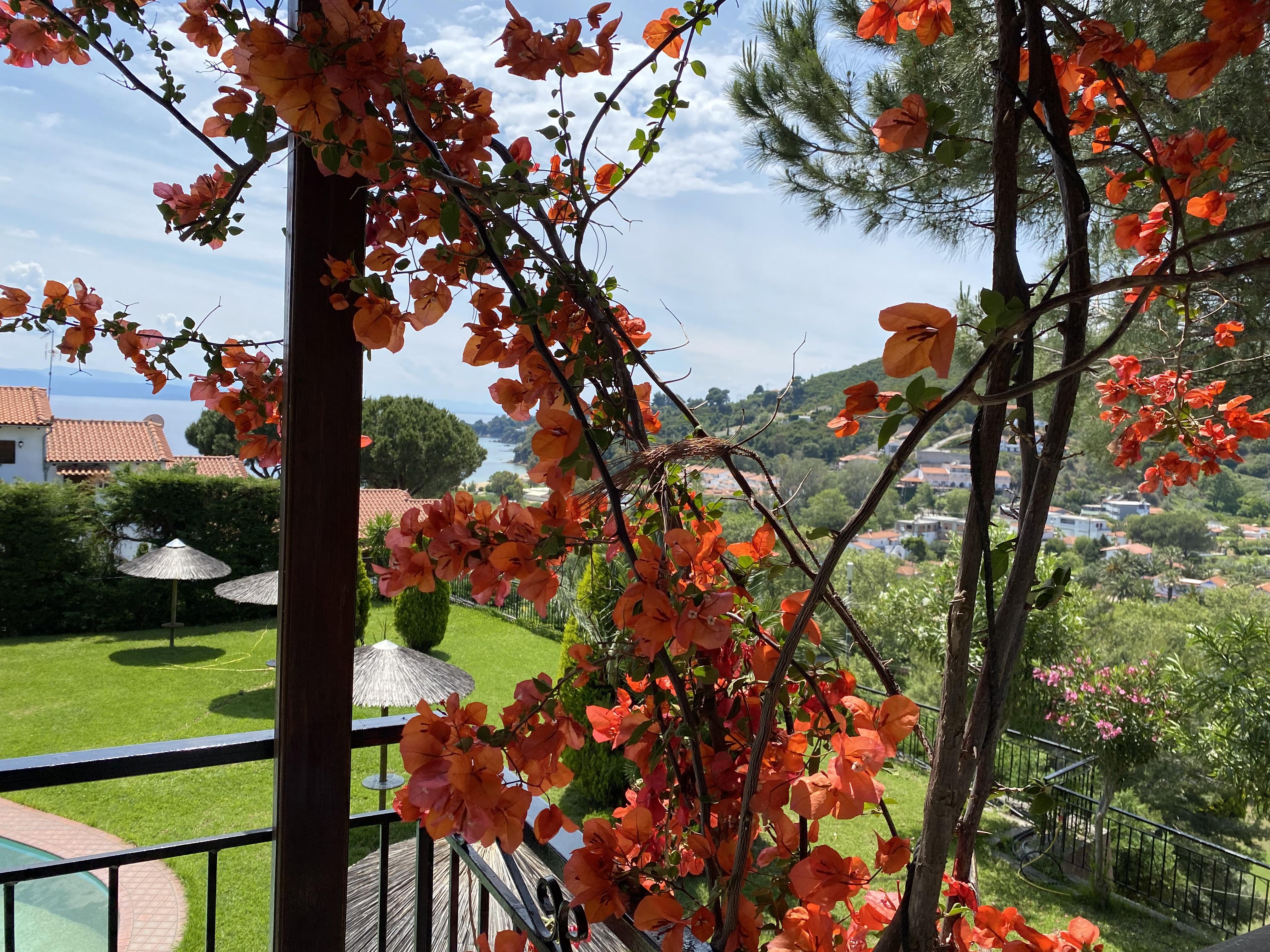 Villa Xanthippi Agia Paraskevi  Extérieur photo