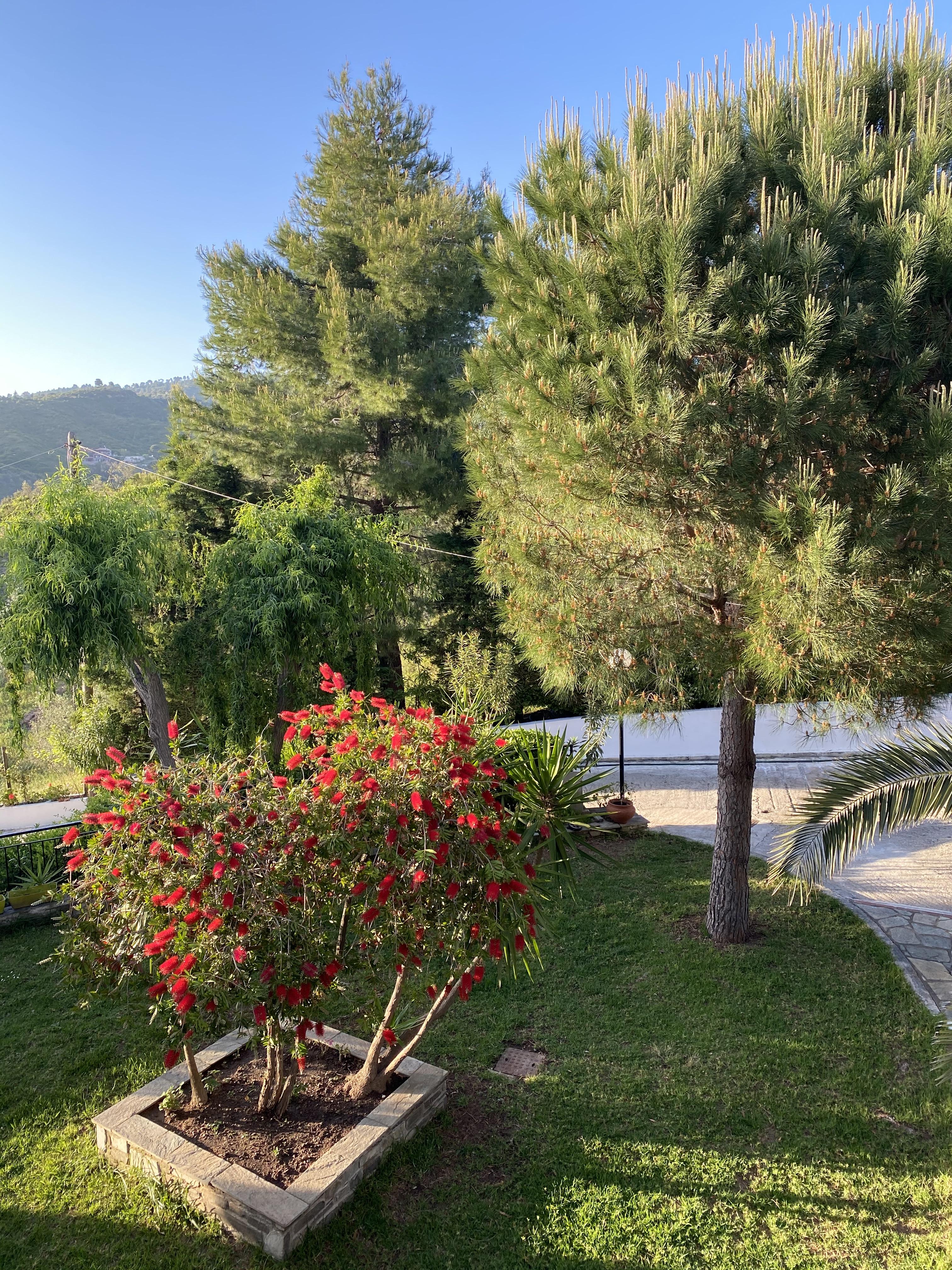 Villa Xanthippi Agia Paraskevi  Extérieur photo