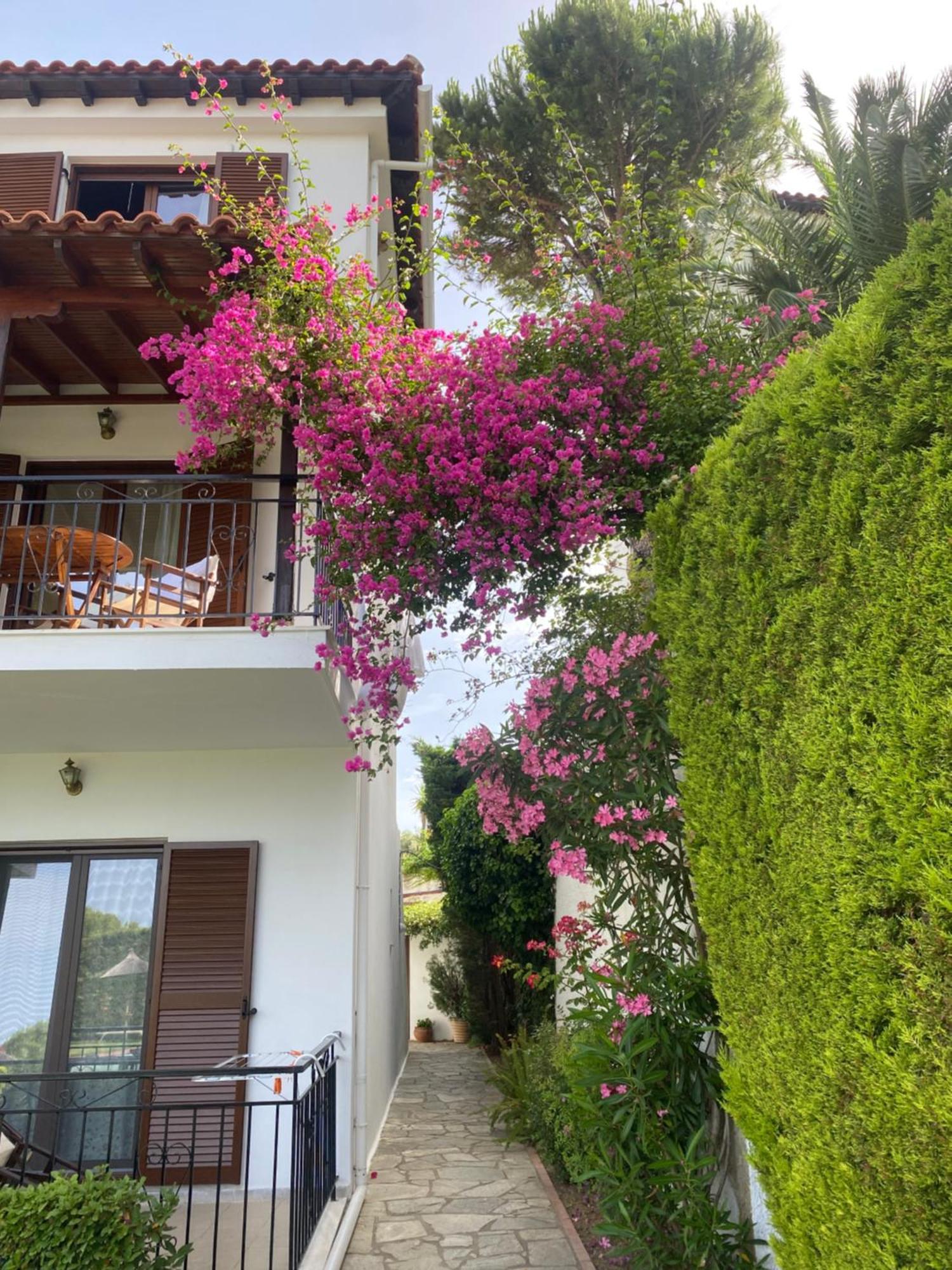 Villa Xanthippi Agia Paraskevi  Extérieur photo